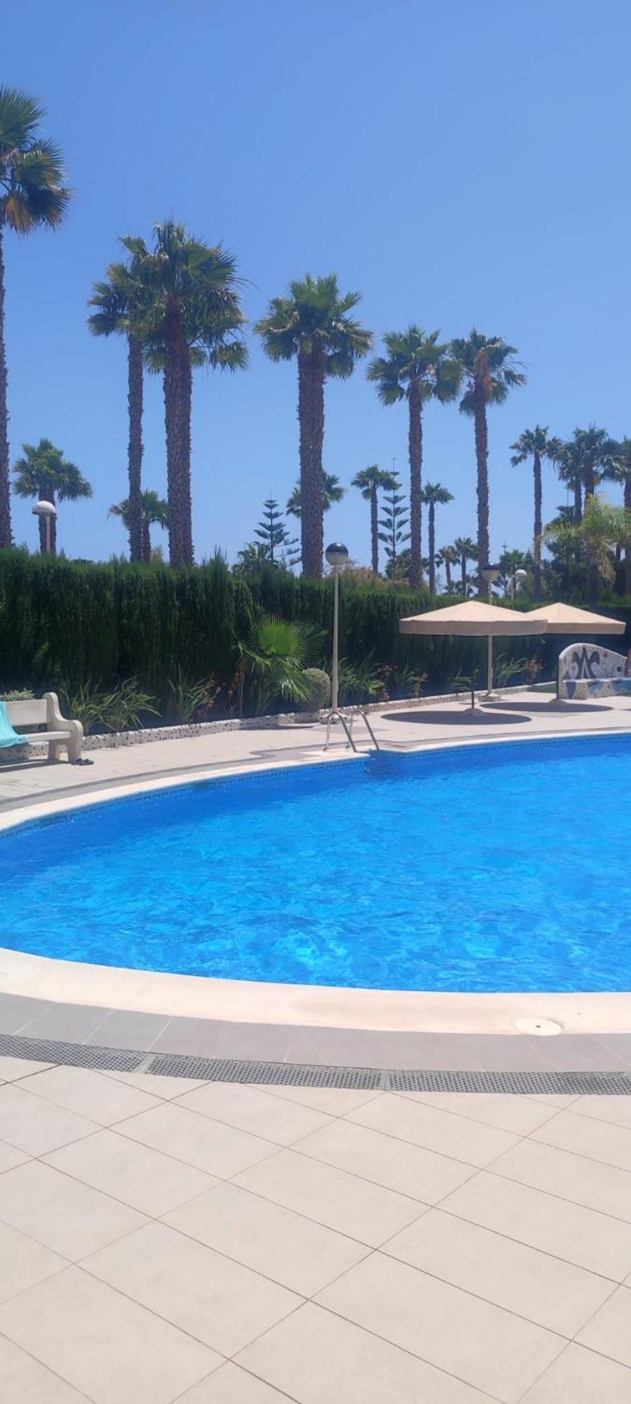 Apartment Cala Blanca On The *